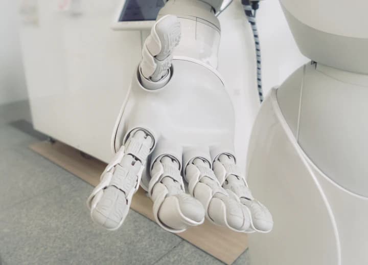 Chatbot and live chat interface side by side on an SMB website